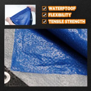 RAINDEWAY Tarps 9x9 Feet - 5.5 Mil, Multipurpose Waterproof Poly Tarp Cover with Metal Grommets and Reinforced Edges, Silver/Blue Tarp