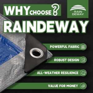 RAINDEWAY Tarps 9x9 Feet - 5.5 Mil, Multipurpose Waterproof Poly Tarp Cover with Metal Grommets and Reinforced Edges, Silver/Blue Tarp