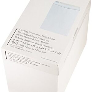 Amazon Basics Catalog Mailing Envelopes, Peel and Seal, 9x12 Inch, White, 250-Pack