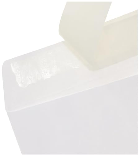 Amazon Basics Catalog Mailing Envelopes, Peel and Seal, 9x12 Inch, White, 250-Pack