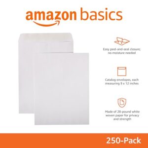 Amazon Basics Catalog Mailing Envelopes, Peel and Seal, 9x12 Inch, White, 250-Pack