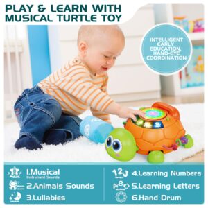 Baby Toys 6 to 12 Months, Musical Turtle Crawling Baby Toys for 12-18 Month, Early Learning Educational Toy with Light & Sound, Birthday Toy for Infant Toddler Boy Girl 7 8 9 10 11 month 1-2 Year Old