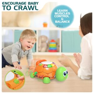 Baby Toys 6 to 12 Months, Musical Turtle Crawling Baby Toys for 12-18 Month, Early Learning Educational Toy with Light & Sound, Birthday Toy for Infant Toddler Boy Girl 7 8 9 10 11 month 1-2 Year Old