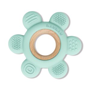 BAMBAM Baby Premium Silicone Teething Ring Toy – 100% BPA Free, Child Safety Tested, for Baby & Infant 0-6, 3-6 and 6-12 Months Teether Toys – Flora The Flower (Mossy Meadow)