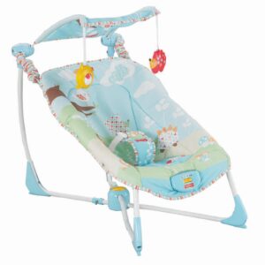 Fisher-Price Soothe & Go Bouncy Seat