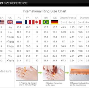 JESMING 3D Rose Ring CZ Simulated Diamond Ring Rose Gold Ring Rose Flower Ring for Women (Silver,8)