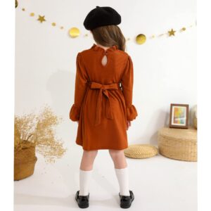 Toddler Baby Girl Fall Winter Dress Long Sleeve Turtleneck Tunic Vintage Sweater Dress for Kids Ribbed Knit Little Girl Dresses with Belt Skirts Outfits Set(Brown,4-5T)