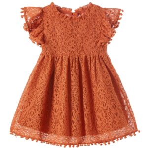 niyage toddler girls elegant lace pom pom flutter sleeve party princess dress brick red 100