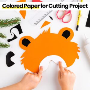 500 Pieces Construction Paper Bulk 12'' x 18'' Card Stock Printer Paper Craft Lightweight Art Colored Paper for Kids Adults School Drawing(Fresh Color)