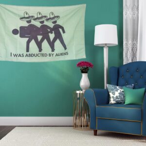 OINEIZ I Was Abducted By Aliens Funny Flags for Room Guys Teen College Dorm, 3x5 Outdoor Meme Cool Flags Boys Man Cave Fun Cheap Party Bedroom Frat House Wall Décor (Green-2)