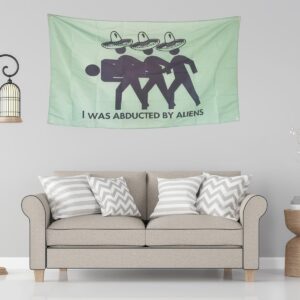 OINEIZ I Was Abducted By Aliens Funny Flags for Room Guys Teen College Dorm, 3x5 Outdoor Meme Cool Flags Boys Man Cave Fun Cheap Party Bedroom Frat House Wall Décor (Green-2)