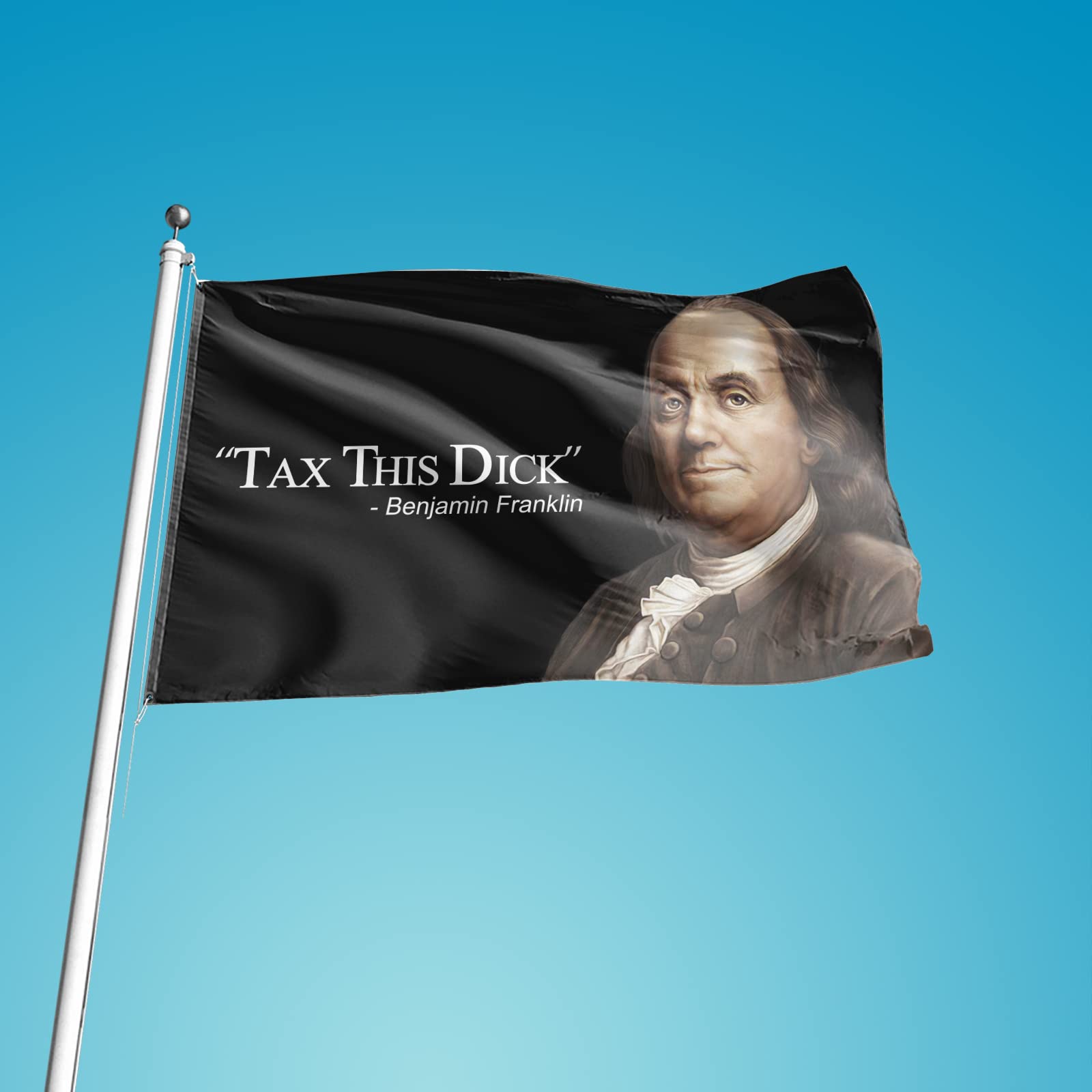 Tax This Dicks Flag Ben Franklin 3x5 Ft Funny Flags for Room Guys Tapestry for College Dorm