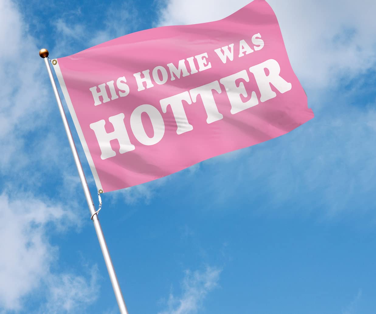 His Homie Was Hotter Flag Funny College Dorm Flags For Girls Cool Girl Flags For Bedroom Room Wall Meme Flags For Room Guys Man Cave Banner 3x5Ft Indoor Outdoor