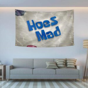 WSINO Hoes Mad Flag 3x5Ft Funny Meme Tapestry for College Dorm Room Guys Man Cave Frat Bedroom Art Deco