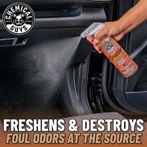 Chemical Guys AIR_300 New Car Scent and Leather Scent Combo Pack, Great for Cars, Trucks, SUVs, RVs & More, 16 fl oz (2 Items)