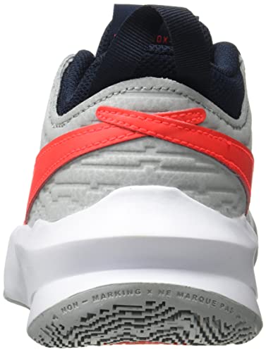 Nike Kid's Team Hustle D10 (GS) Basketball Shoe (7, Light Smoke Grey/Bright Crimson, Numeric_7)