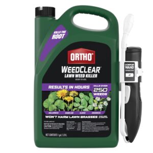 Ortho WeedClear Lawn Weed Killer Ready-to-Use1 with Comfort Wand (South), Kills Dandelion and Clover, 1 gal.