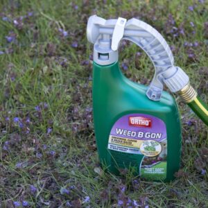 Ortho Weed B Gon Chickweed, Clover & Oxalis Killer for Lawns, 32 Oz. (Pack of 2)