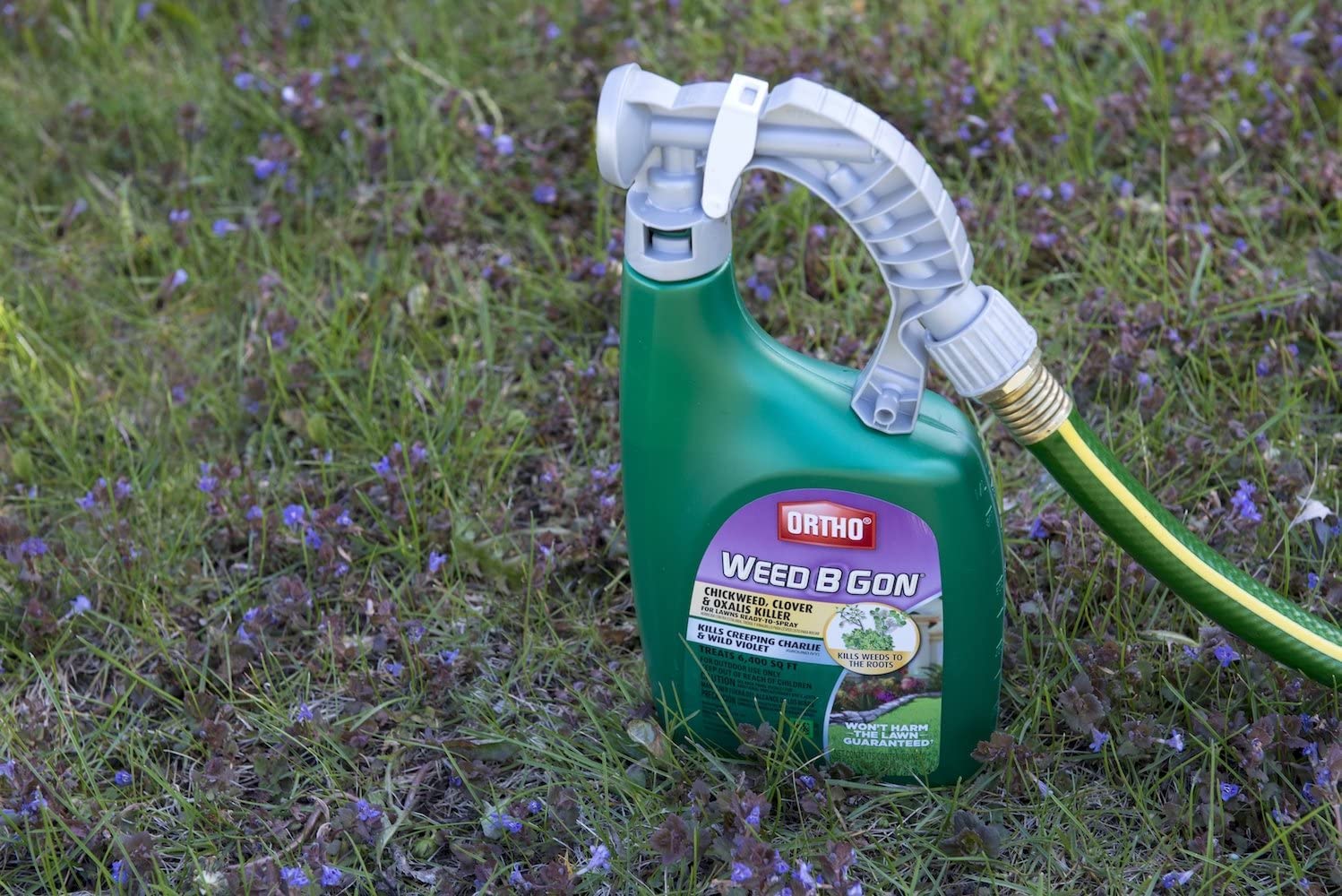 Ortho Weed B Gon Chickweed, Clover & Oxalis Killer for Lawns, 32 Oz. (Pack of 2)