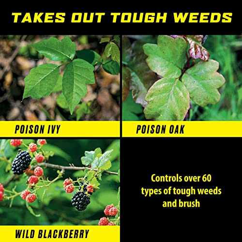 Ortho GroundClear Poison Ivy & Tough Brush Killer3 - Ready-To-Use Weed Killer Spray with Comfort Wand, 1 gal.