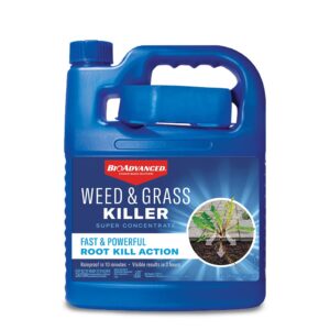 bioadvanced weed & grass killer, 64-ounce, super concentrate