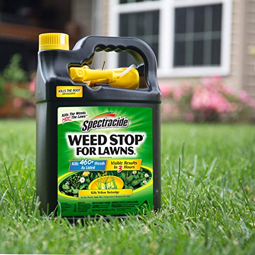 Spectracide Weed Stop For Lawns3