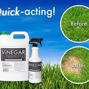 Vinegar Weed & Grass Killer with Sprayer – Weed & Grass Killer Approved for Organic Production | Pet Safe | Glyphosate Free Herbicide - 1 Gallon with Sprayer