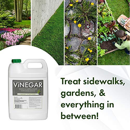 Vinegar Weed & Grass Killer with Sprayer – Weed & Grass Killer Approved for Organic Production | Pet Safe | Glyphosate Free Herbicide - 1 Gallon with Sprayer