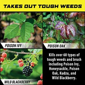 Ortho GroundClear Poison Ivy & Tough Brush Killer - Ready to Use with Comfort Wand, Poison Ivy Killer, Also Kills Poison Oak, Kudzu, Wild Blackberry, Vines & More, 1.33 gal.