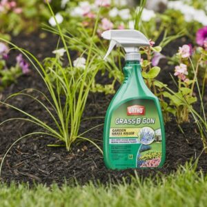 Ortho 0438580 Grass B Gon Garden Grass Killer Ready-to-Use, 24-Ounce (2 Pack)