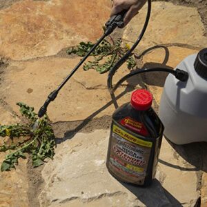 Spectracide Weed & Grass Killer With Extended Control Concentrate, Extended Weed And Grass Control, Prevents Weeds Coming Back, 40 fl Ounce