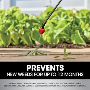 Roundup Dual Action 365 Weed & Grass Killer Plus 12 Month Preventer Concentrate, Kills & Prevents for up to 1 Year, 32 fl.oz.