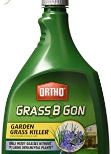 Ortho Lands B-Gon Grass Killer for Landscapes Rtu 24 Oz