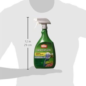 Ortho Lands B-Gon Grass Killer for Landscapes Rtu 24 Oz