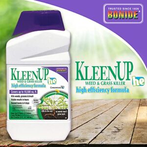 Bonide KleenUP He High Efficiency Weed & Grass Killer Concentrate, 32 oz