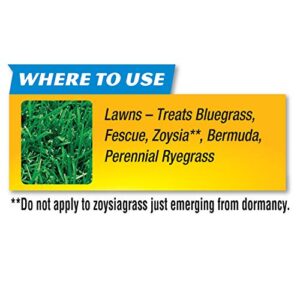 Spectracide Weed Stop For Lawns Concentrate2