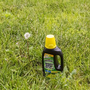 Spectracide Weed Stop For Lawns Concentrate2