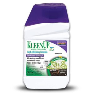 bonide kleenup weed & grass killer high efficiency formula, 16 oz concentrate, fast acting formula kills weeds & roots