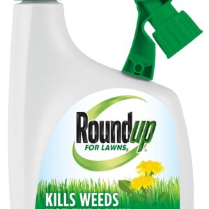 Roundup For Lawns3 Ready-To-Spray (Northern), 32 oz. - Lawn Safe Weed Killer for Northern Lawns, Kills Crabgrass, Dandelion, Clover and Yellow Nutsedge - Kills Weeds, Not the Lawn