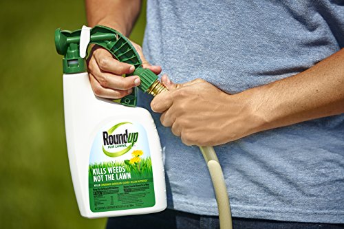 Roundup For Lawns3 Ready-To-Spray (Northern), 32 oz. - Lawn Safe Weed Killer for Northern Lawns, Kills Crabgrass, Dandelion, Clover and Yellow Nutsedge - Kills Weeds, Not the Lawn