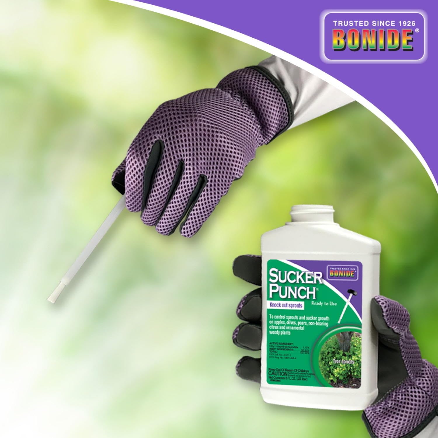 Bonide Sucker Punch, 8 oz Ready-to-Use Sprout Control Liquid with Brush Applicator, Plant Growth Regulator