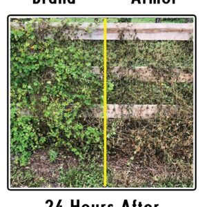 Natural Armor Weed and Grass Killer All-Natural Concentrated Formula. Contains No Glyphosate (320 OZ. 2.5 Gallon)