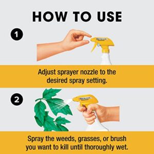 Roundup Ready-To-Use Poison Ivy Plus Tough Brush Killer, for Weeds, Grass, Stumps and Vines, Trigger Sprayer, 24 oz.