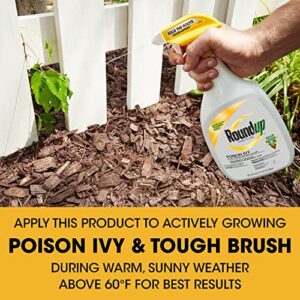 Roundup Ready-To-Use Poison Ivy Plus Tough Brush Killer, for Weeds, Grass, Stumps and Vines, Trigger Sprayer, 24 oz.