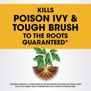 Roundup Ready-To-Use Poison Ivy Plus Tough Brush Killer, for Weeds, Grass, Stumps and Vines, Trigger Sprayer, 24 oz.