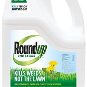 Roundup For Lawns1 Refill (Northern), 1.25 gal. - Lawn Safe Weed Killer For Northern Lawns - Kills Crabgrass, Dandelion, Clover and Yellow Nutsedge - Kills Weeds, Not the Lawn