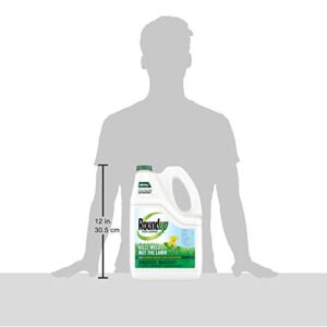 Roundup For Lawns1 Refill (Northern), 1.25 gal. - Lawn Safe Weed Killer For Northern Lawns - Kills Crabgrass, Dandelion, Clover and Yellow Nutsedge - Kills Weeds, Not the Lawn