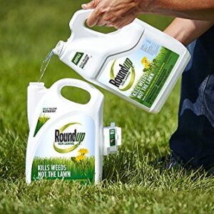 Roundup For Lawns1 Refill (Northern), 1.25 gal. - Lawn Safe Weed Killer For Northern Lawns - Kills Crabgrass, Dandelion, Clover and Yellow Nutsedge - Kills Weeds, Not the Lawn