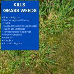 BioAdvanced 704115A Crabgrass Lawns with Weed Killer, 32 oz, Ready-to-Spray