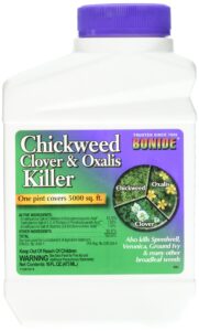 chickweed/clover klr pt